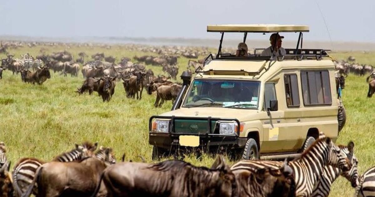 Kenya’s Hemingways Acquires Another Luxury Camp in Maasai Mara Safari Hub 3 Kenya’s Hemingways Acquires Another Luxury Camp in Maasai Mara Safari Hub