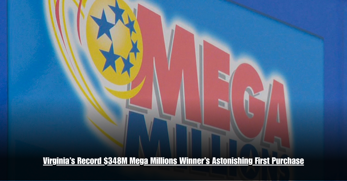 6 on Private Jet Presumed Dead After Crash Into San Diego Neighborhood 11 3