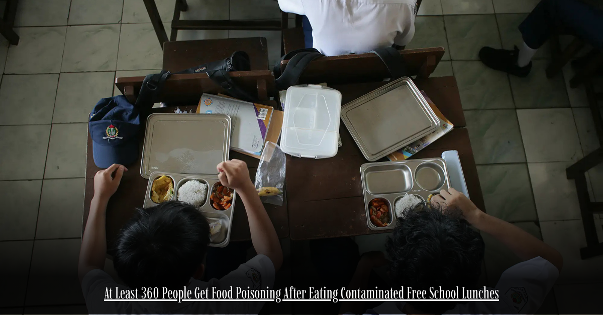 6 on Private Jet Presumed Dead After Crash Into San Diego Neighborhood 2 4