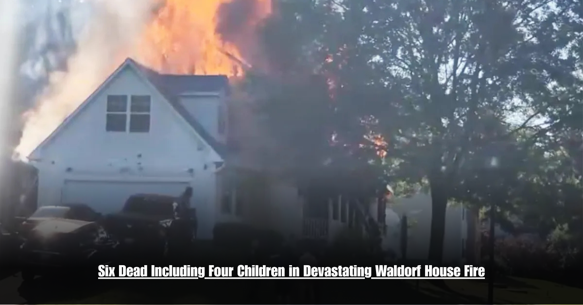 6 on Private Jet Presumed Dead After Crash Into San Diego Neighborhood 2 8