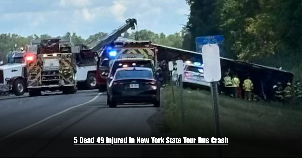 6 on Private Jet Presumed Dead After Crash Into San Diego Neighborhood 2 9