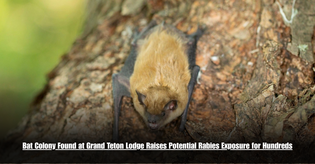 6 on Private Jet Presumed Dead After Crash Into San Diego Neighborhood 26