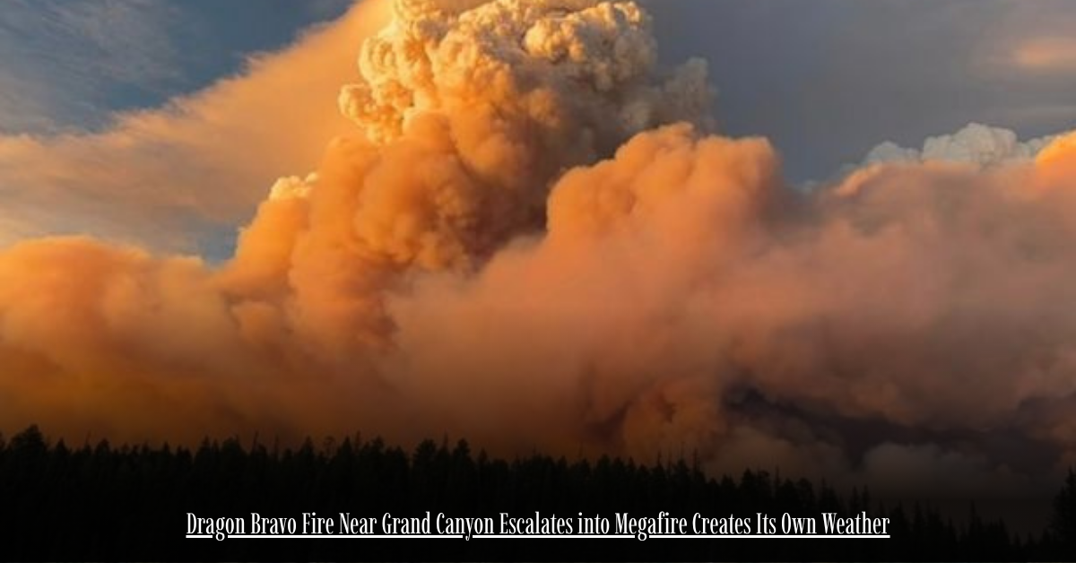 Dragon Bravo Fire Near Grand Canyon Escalates into Megafire Creates Its Own Weather 1 6 on Private Jet Presumed Dead After Crash Into San Diego Neighborhood 9