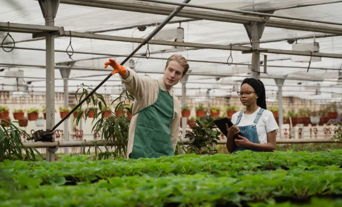 Agriculture Jobs in Turkey with Visa Sponsorship 2025