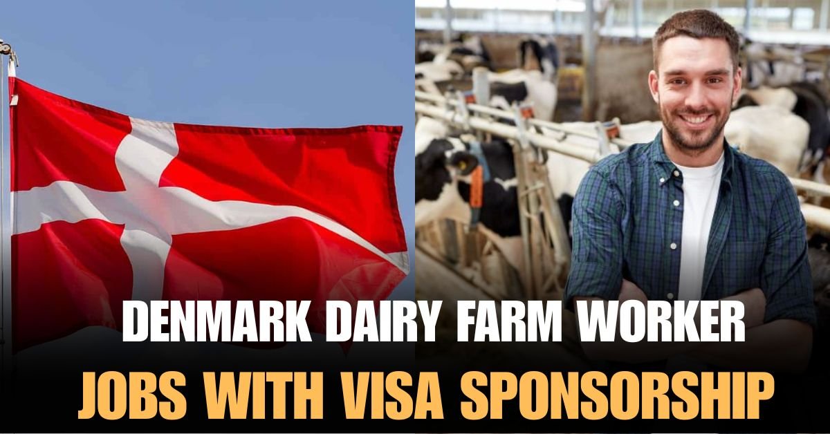 Denmark Dairy Farm Worker Jobs With Visa Sponsorship