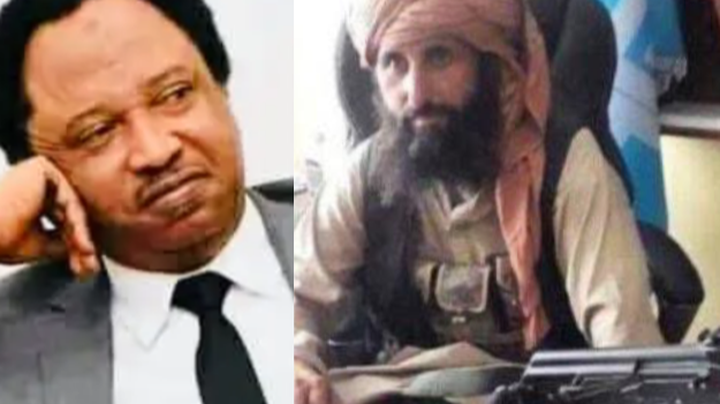 8ebb64e507c048039324530cf443f379