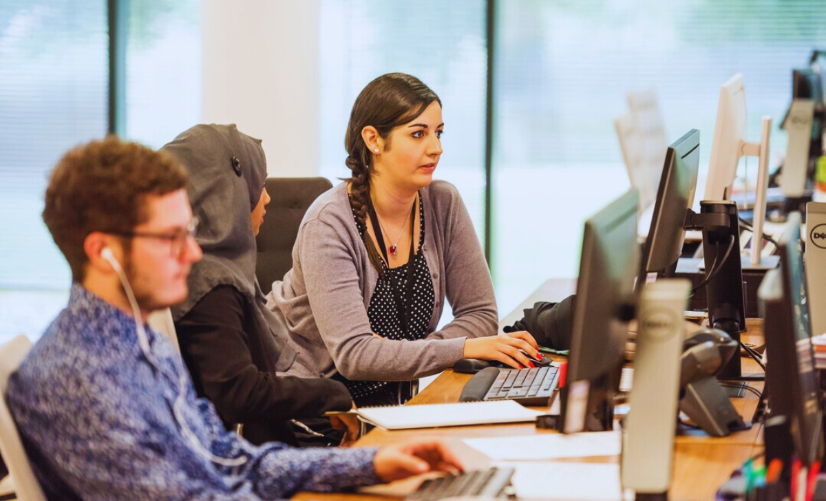 Apply for Entry-Level Jobs