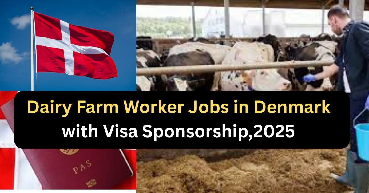 Dairy Farm Worker Jobs in Denmark with Visa Sponsorship,2025