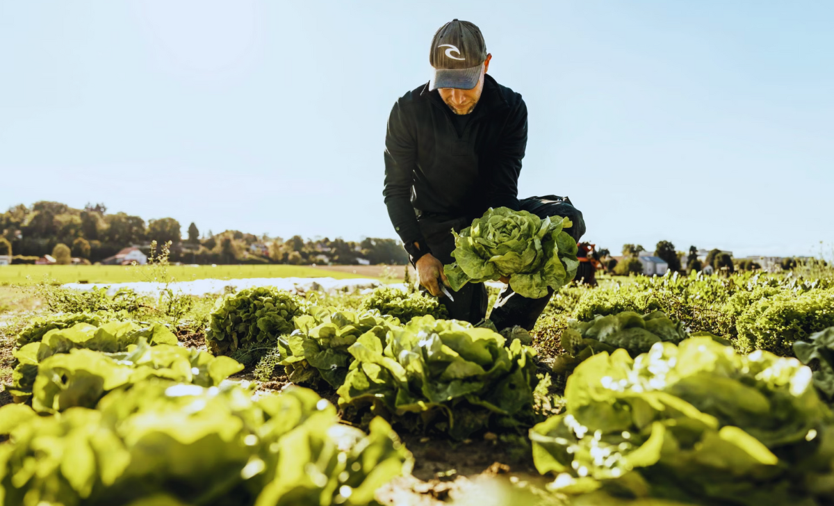 Farm House Jobs in Switzerland with visa sponsorship 2025