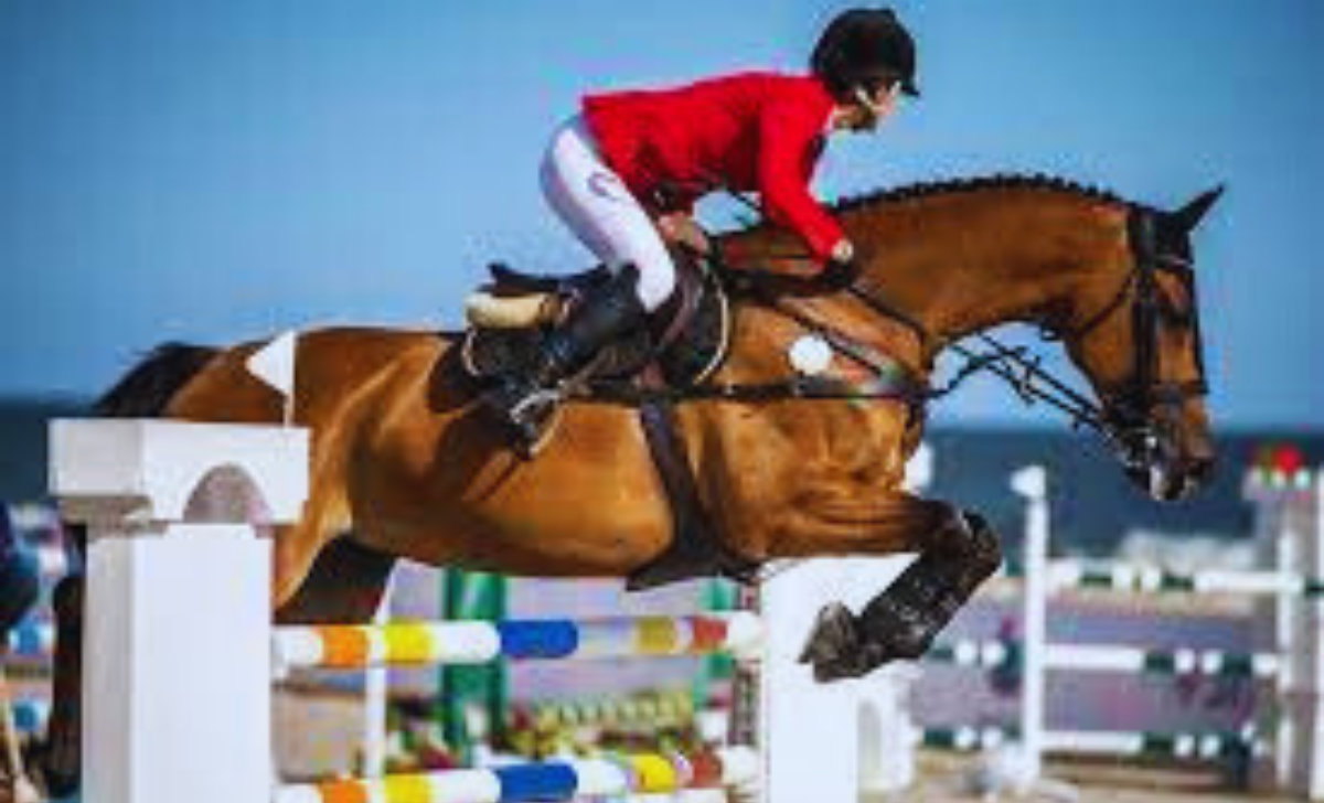 Also read: Room Attendant Jobs In Netherlands with Visa Sponsorship