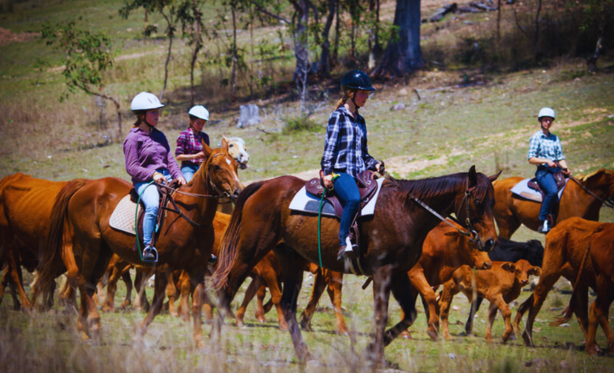 Also read: Room Attendant Jobs In Netherlands with Visa Sponsorship
