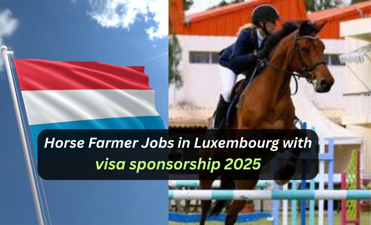 Also read: Room Attendant Jobs In Netherlands with Visa Sponsorship