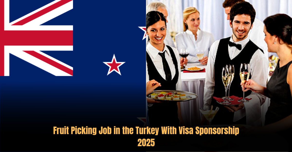 Waiter Job in New Zealand With Visa Sponsorship 2025 1 Waiter Job in New Zealand With Visa Sponsorship 2025