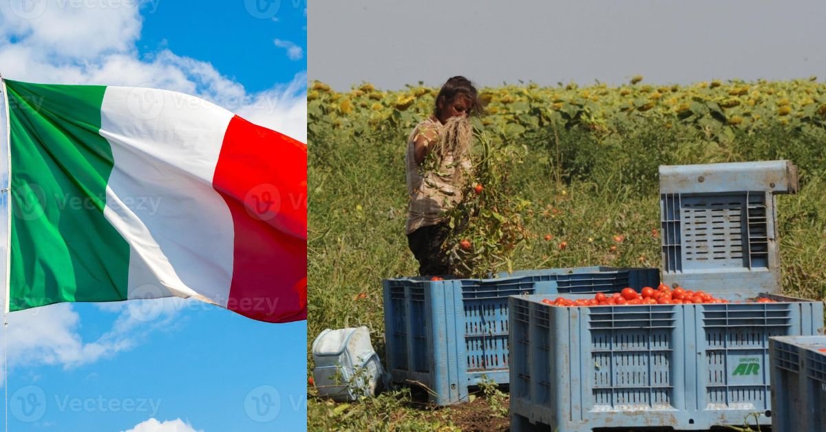 Italy Jobs in Agriculture and Food Processing 1 Untitled design 2025 09 20T164754.447