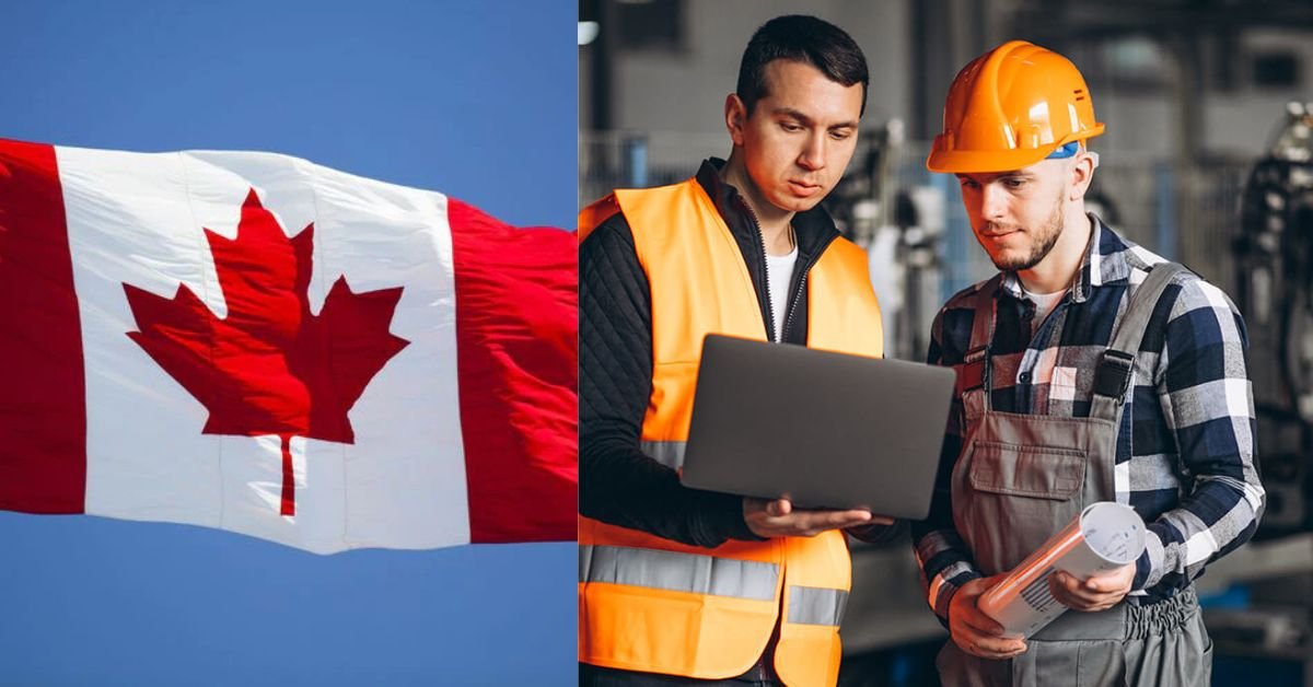 Finding an Entry-Level Job In Canada