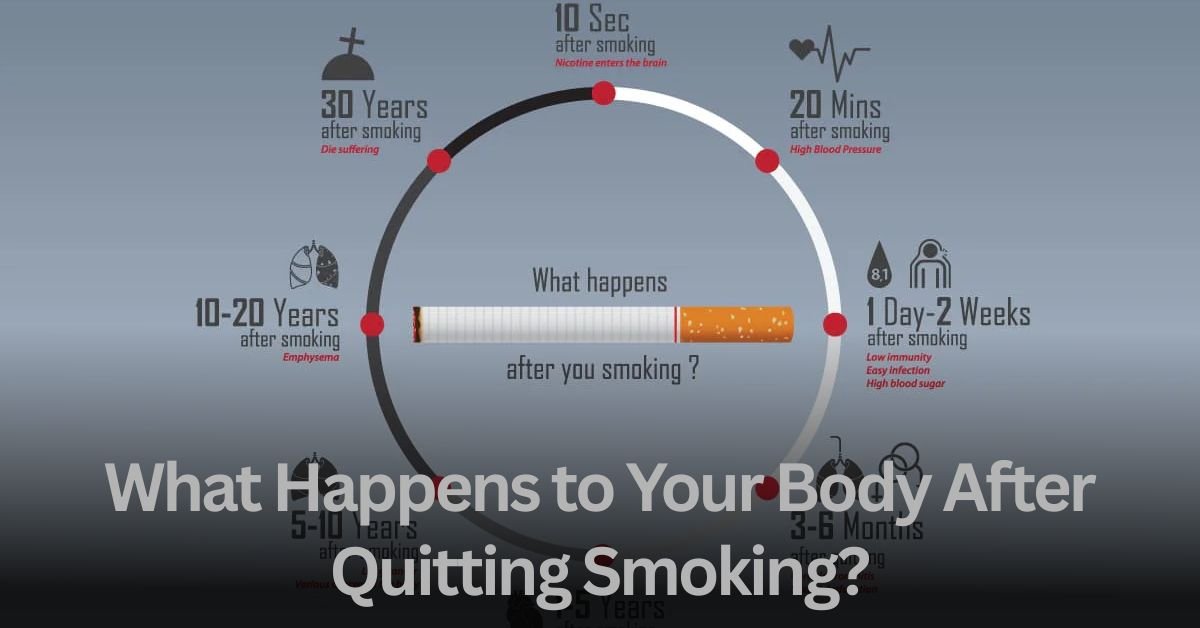 What Happens to Your Body After Quitting Smoking?
