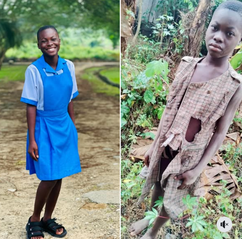 b3d62b7a60fa05ab05cd01d66ed1c447