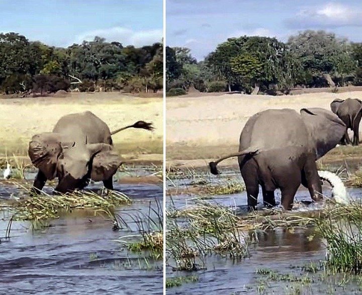 1a252b45593b337a8b9bd79571a5bede