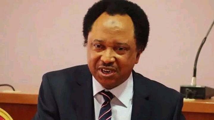 Shehu Sani Stirs Debate Nigerian Muslims Choice of Sharia and Blasphemy Laws an Internal Affair 1 724ad0b8590a4d39988c9a2fe240ca43