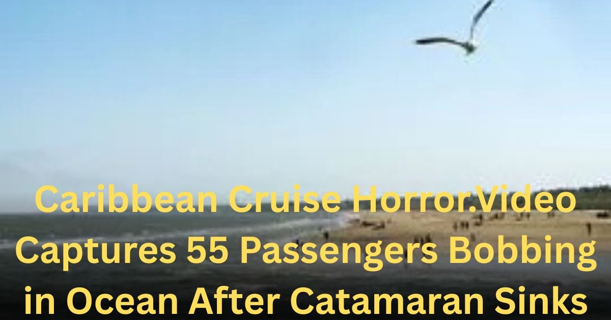 Caribbean Cruise Horror.Video Captures 55 Passengers Bobbing in Ocean After Catamaran Sinks