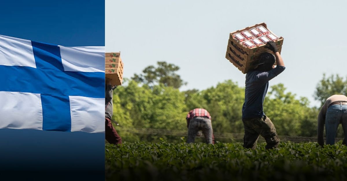 Finland Seasonal Farm Jobs – Step-by-Step
