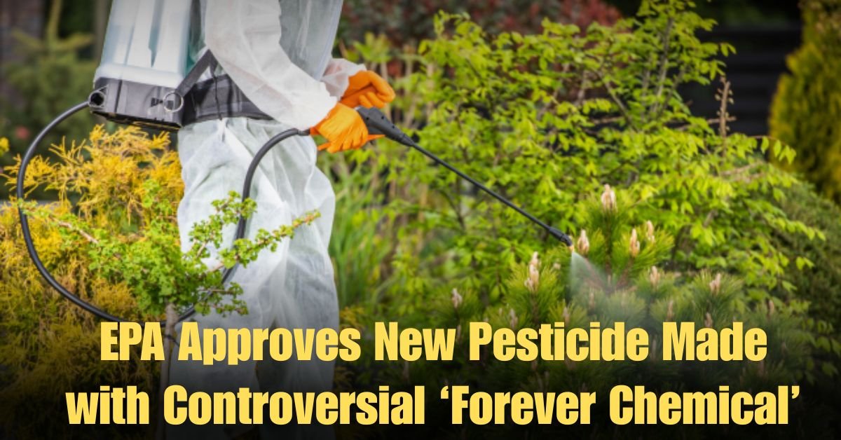 EPA Approves New Pesticide Made with Controversial ‘Forever Chemical’