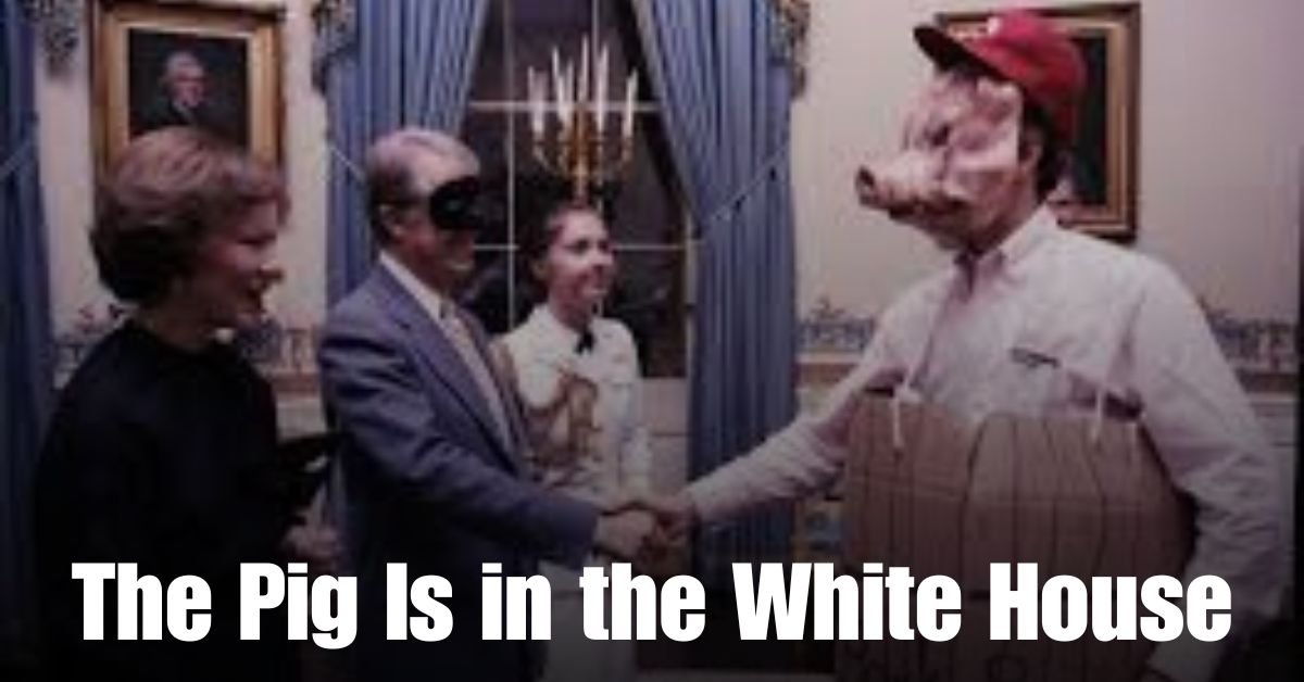 The Pig Is in the White House