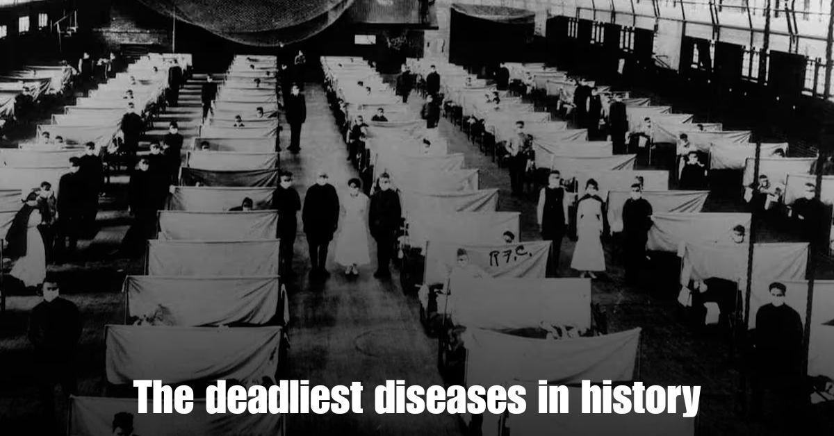The deadliest diseases in history