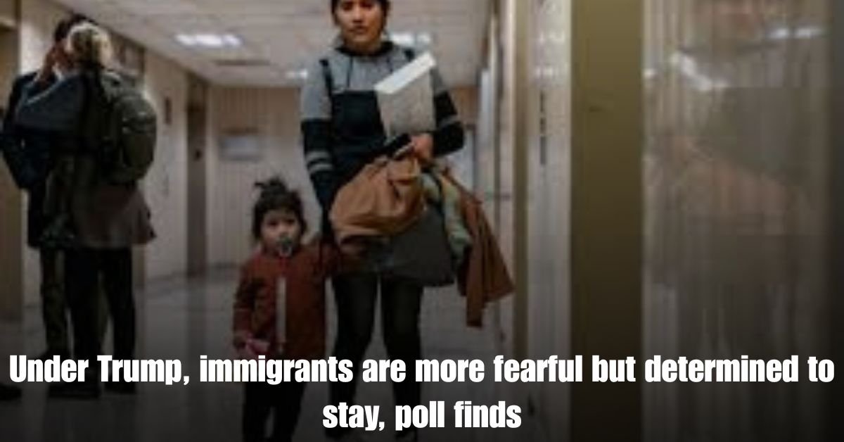 Under Trump immigrants are more fearful but determined to stay poll finds