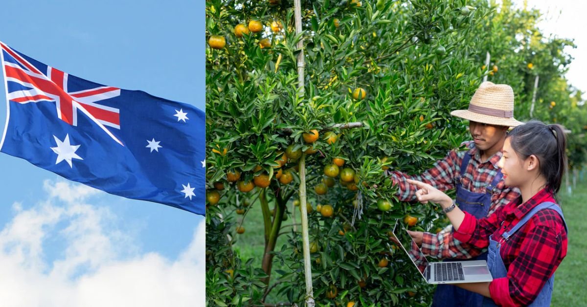 Untitled design 2025 11 23T125755.038