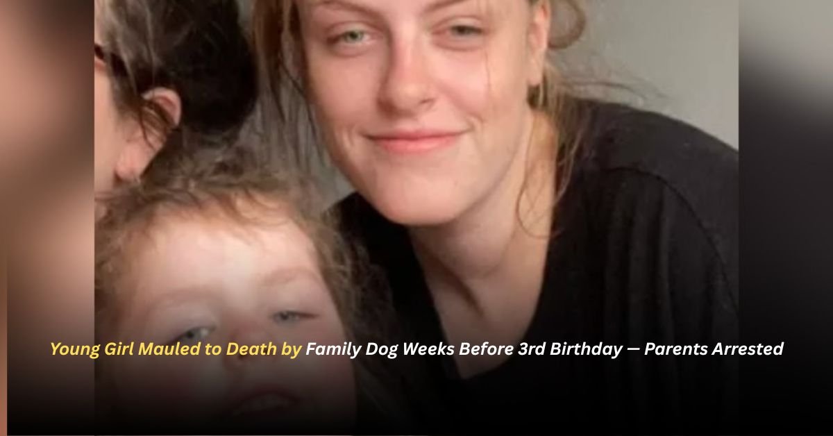 Voyage en peniche avec Bruno Podalydes Chaque matin apres une nuit confortable un paysage different soffre a nous 36