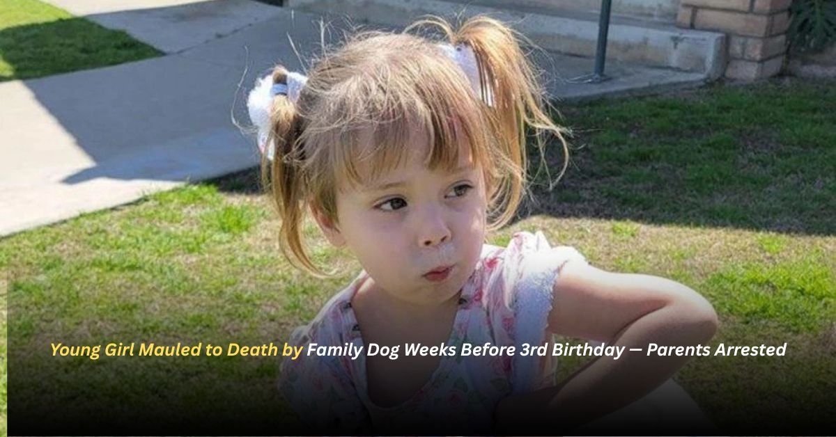 Voyage en peniche avec Bruno Podalydes Chaque matin apres une nuit confortable un paysage different soffre a nous 37