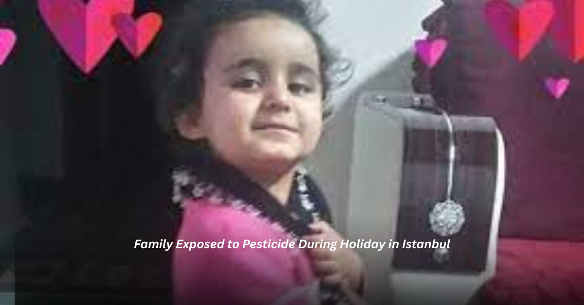 Voyage en peniche avec Bruno Podalydes Chaque matin apres une nuit confortable un paysage different soffre a nous 37