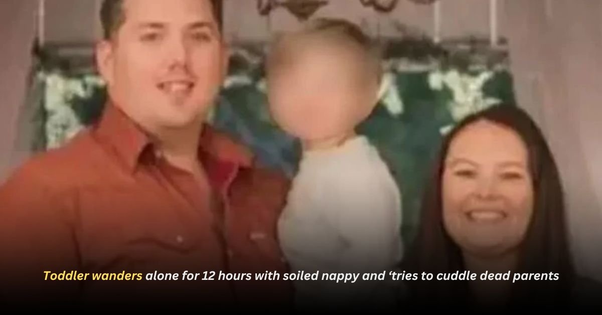 Voyage en peniche avec Bruno Podalydes Chaque matin apres une nuit confortable un paysage different soffre a nous