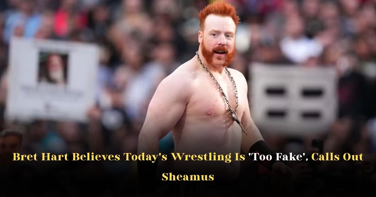 Bret Hart Believes Today's Wrestling Is 'Too Fake', Calls Out Sheamus