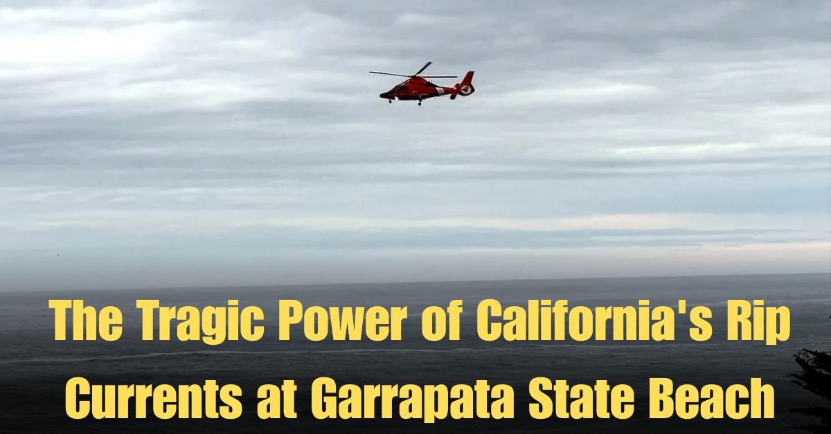 The Tragic Power of California's Rip Currents at Garrapata State Beach
