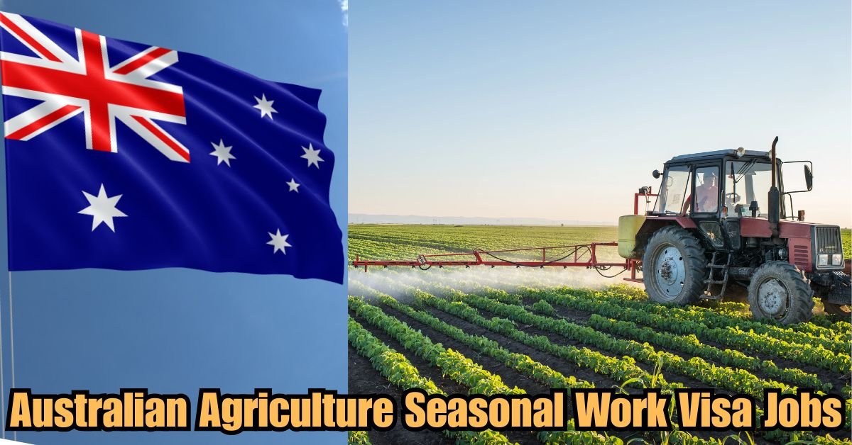 Australia Health Worker Recruitment – Visa Pathway 3