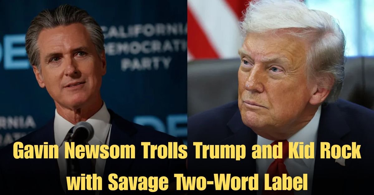 Gavin Newsom Trolls Trump and Kid Rock with Savage Two-Word Label