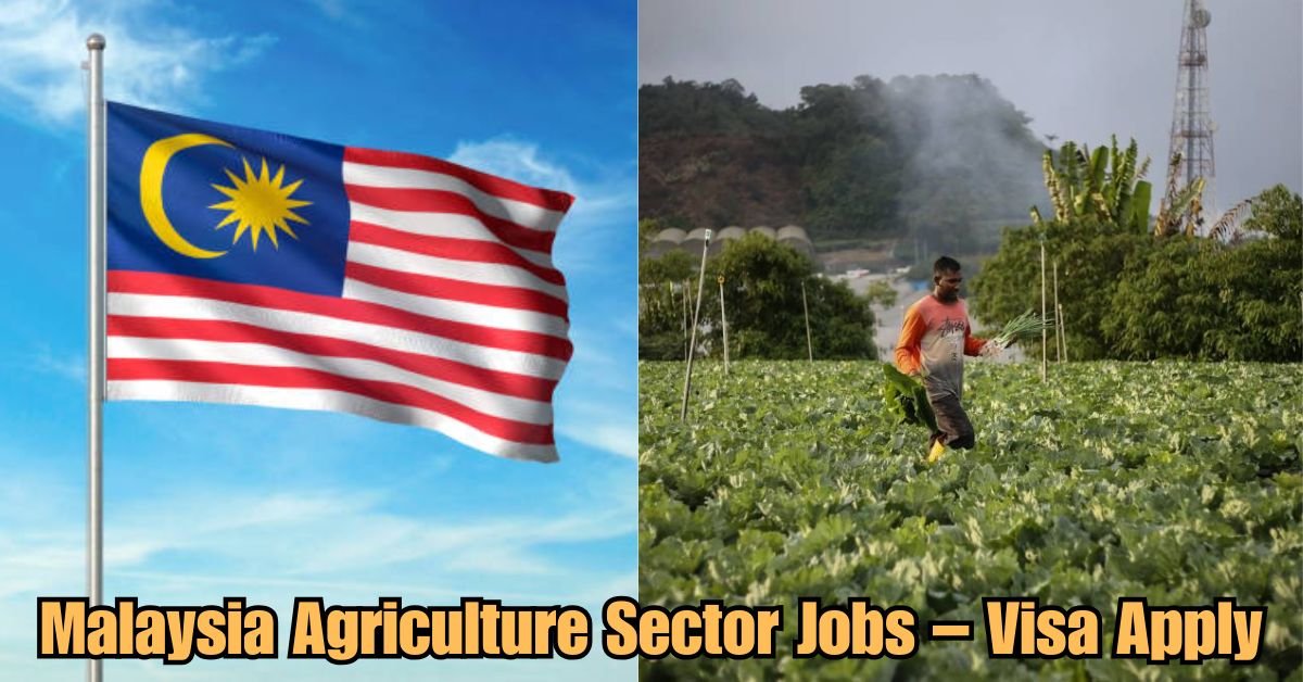 Thailand Hospitality Hiring With Legal Work Visa 1