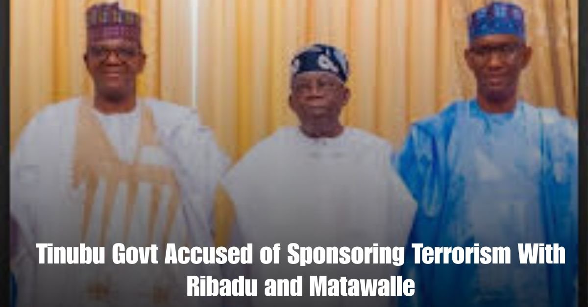 Tinubu Govt Accused of Sponsoring Terrorism With Ribadu and Matawalle