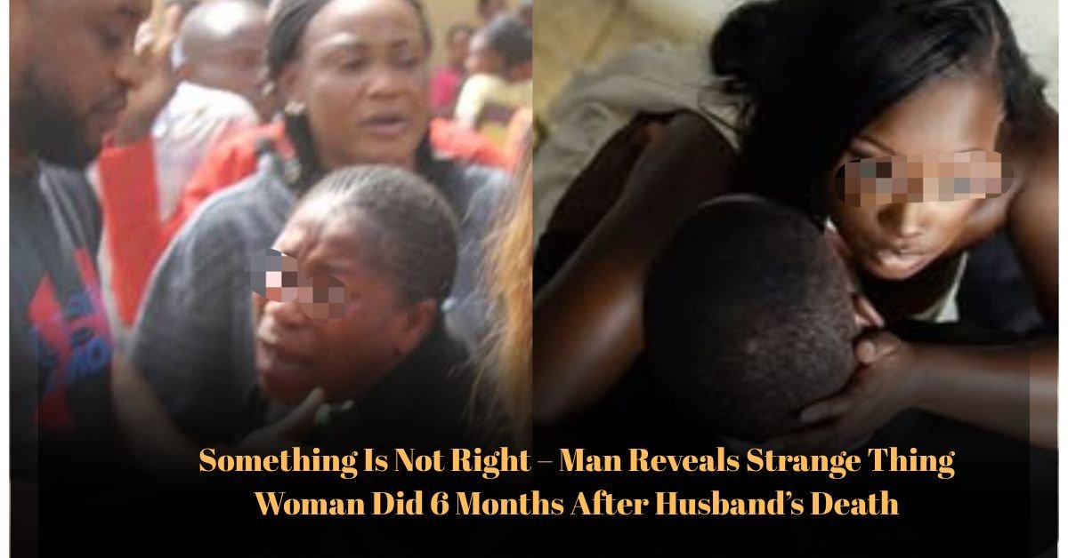 Voyage en peniche avec Bruno Podalydes Chaque matin apres une nuit confortable un paysage different soffre a nous 14 1