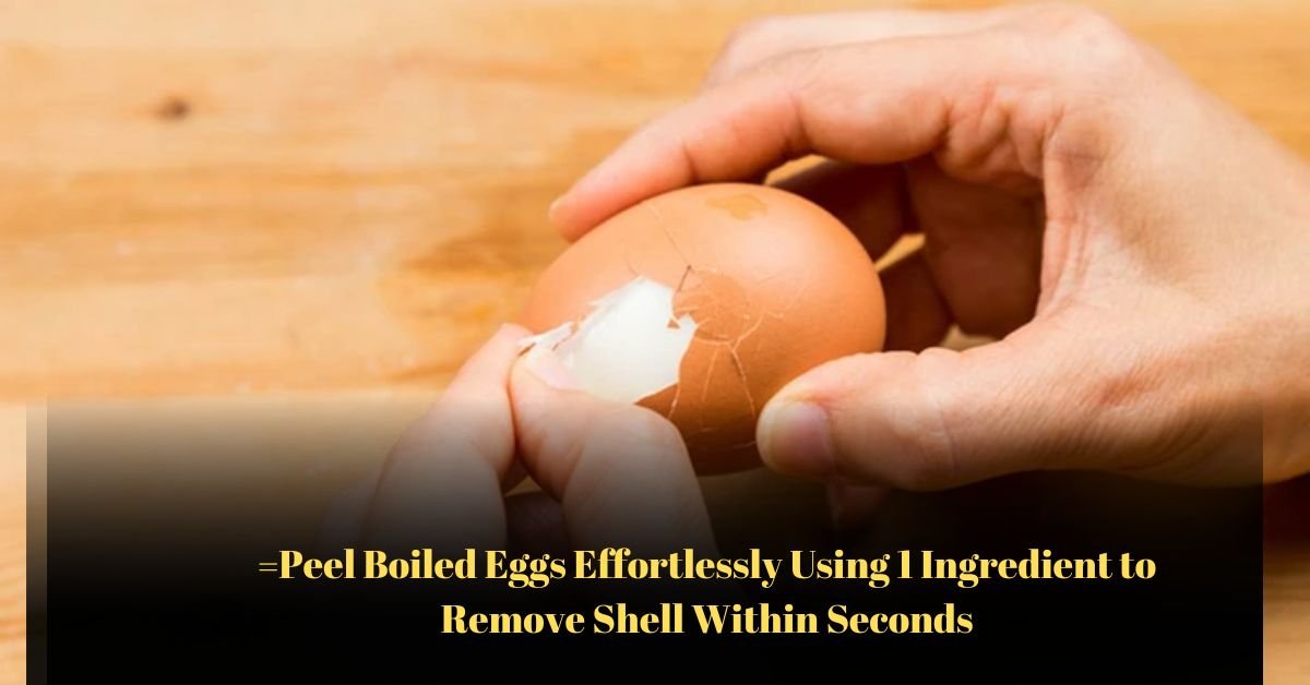 Voyage en peniche avec Bruno Podalydes Chaque matin apres une nuit confortable un paysage different soffre a nous 2 1