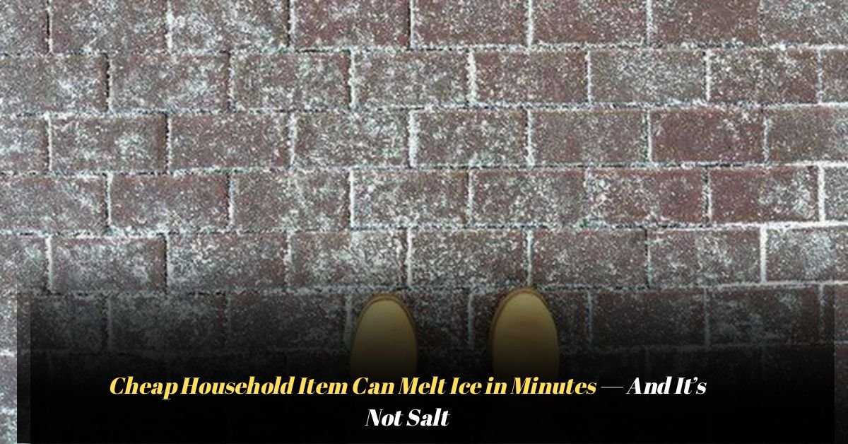 Voyage en peniche avec Bruno Podalydes Chaque matin apres une nuit confortable un paysage different soffre a nous 2025 12 04T215829.419