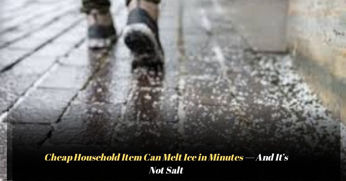 Voyage en peniche avec Bruno Podalydes Chaque matin apres une nuit confortable un paysage different soffre a nous 2025 12 04T220022.216