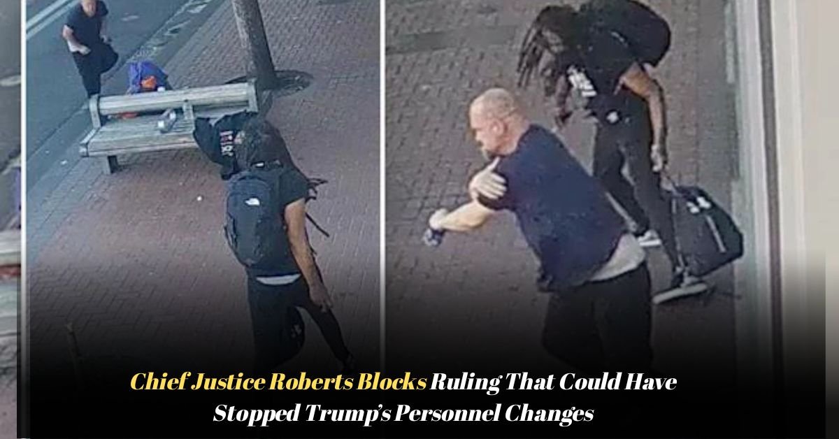 Voyage en peniche avec Bruno Podalydes Chaque matin apres une nuit confortable un paysage different soffre a nous 2025 12 08T034309.532