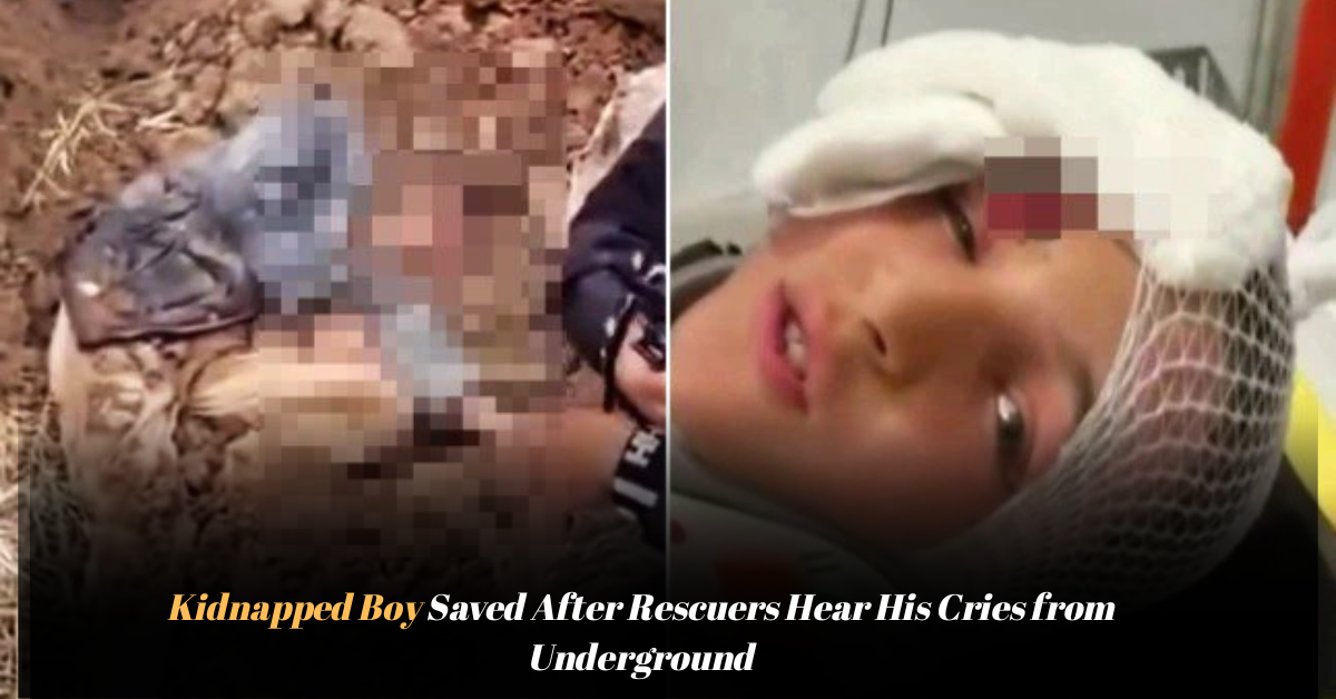 Voyage en peniche avec Bruno Podalydes Chaque matin apres une nuit confortable un paysage different soffre a nous 2025 12 11T135422.768