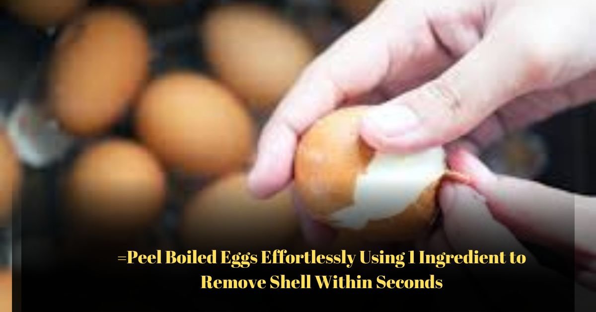 Voyage en peniche avec Bruno Podalydes Chaque matin apres une nuit confortable un paysage different soffre a nous 3 1