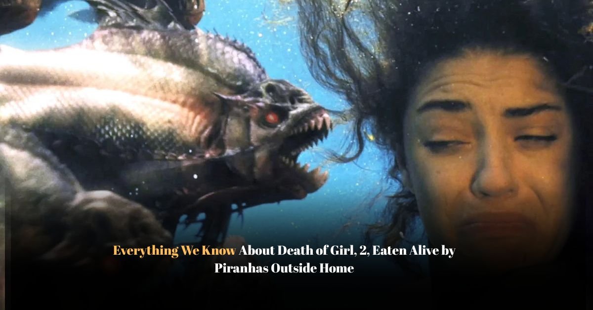 Voyage en peniche avec Bruno Podalydes Chaque matin apres une nuit confortable un paysage different soffre a nous 72