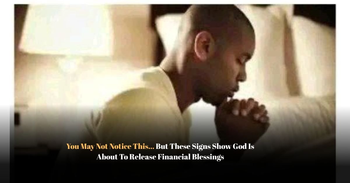 Voyage en peniche avec Bruno Podalydes Chaque matin apres une nuit confortable un paysage different soffre a nous 87 1