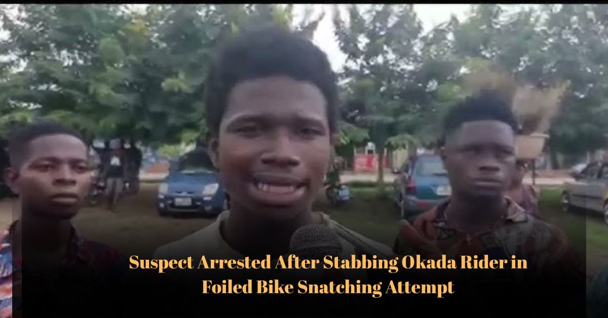 Voyage en peniche avec Bruno Podalydes Chaque matin apres une nuit confortable un paysage different soffre a nous 9 1